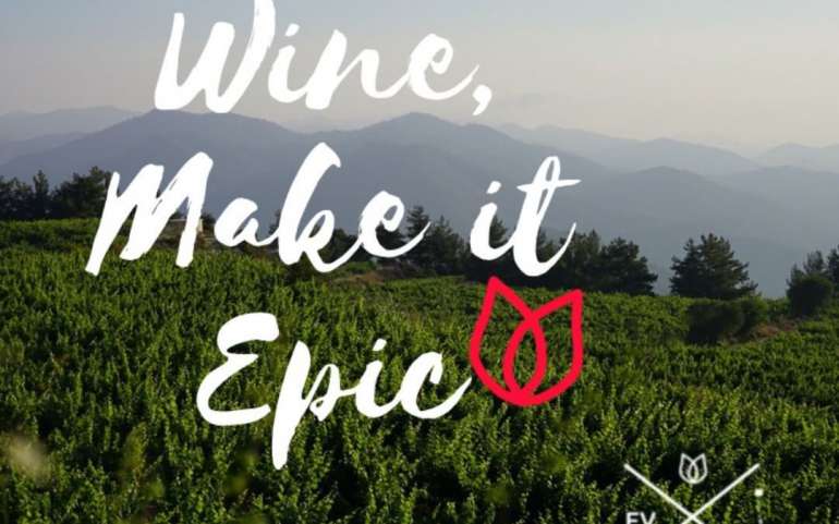 Epic Vineyard moments